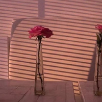 ��Լ�ÿ��Ļ�������Ȧ����ͼ ����ֻ����Ϊ���¹¶�
