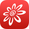 ���ϰ����app����v2.11.5 ��׿��