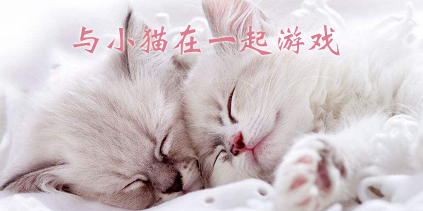 ��Сè��һ�𺺻���-��Сè��һ���ƽ��/�ٷ���