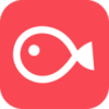 Vimo��׿����v3.0.3 ���°�