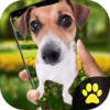 iDog - ������Ļ��App��׿��v1.2 ���°�