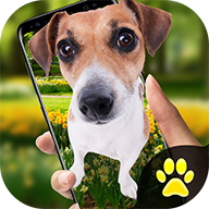 Bunny In Phone Cute joke��������Ļ��app����v1.1 ��׿��