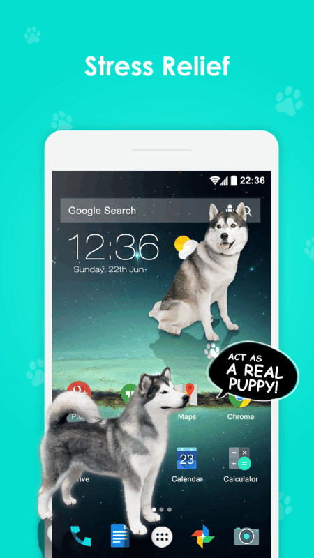 Bunny In Phone Cute joke��������Ļ��app����v1.1 ��׿��