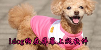 idog������Ļ��������