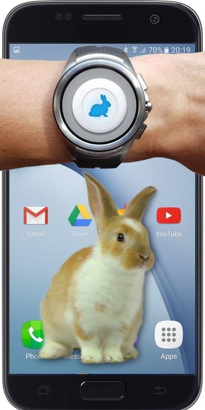 Bunny In Phone Cute jokeĻappv1.1 ׿