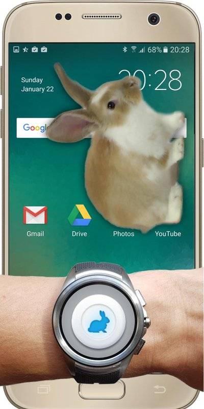 Bunny In Phone Cute joke��������Ļ����app����v1.1 ��׿��