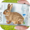 С�������ֻ��ɰ�����Цapp����v1.1 ��׿��