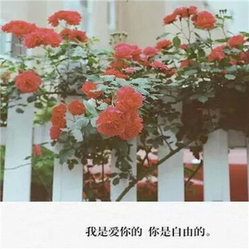 20150703162448_Qy2Tt.thumb.700_0.jpg