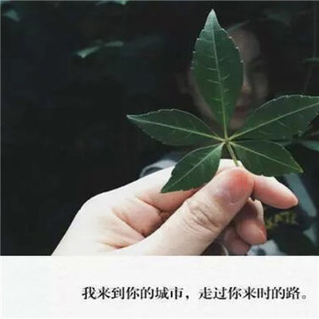 20150703162457_LMSmF.thumb.700_0.jpg