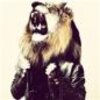Animal Face���ֻ�ͷ������ֽ��������v1.1 ���°�