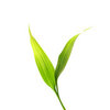 ΢��ʿѧ����app����v3.1.3 ���°�