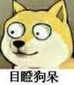 ��ʦ�ʸ�֤�ɼ���ѯͼ3