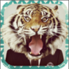 AnimalFace���ֻ�ͷ��ֽ������������v2.2 �ٷ���