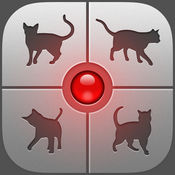 人猫交流器软件下载v1.1.0 安卓版