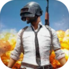 ��ѶPUBGM2018�ٷ���ʽ��v1.0 ��Ѱ�