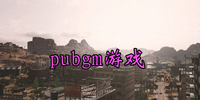 pubgm��Ϸ