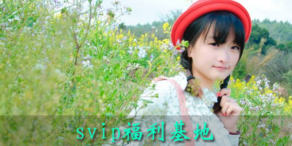 svip���������ƽ��-svip���������˺�����-�������