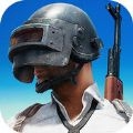 Last Survive - Chicken Dinner(��Ӣ�ж��Լ���������)v1.0 ��׿��