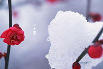 ����С��ף�����ͼƬ��ѡ ����С������ܰů��ף�����ȫ