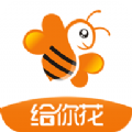 ���ܴ�app���԰�����v2.4.0 �ٷ���