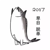 2017���㷭����������� ף������������ѵ�