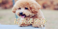 ��Ȯ����