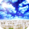 Blue Skies Free���������Ƶ��̬��ֽ�ͺĵ������v1.0.7 ���°�