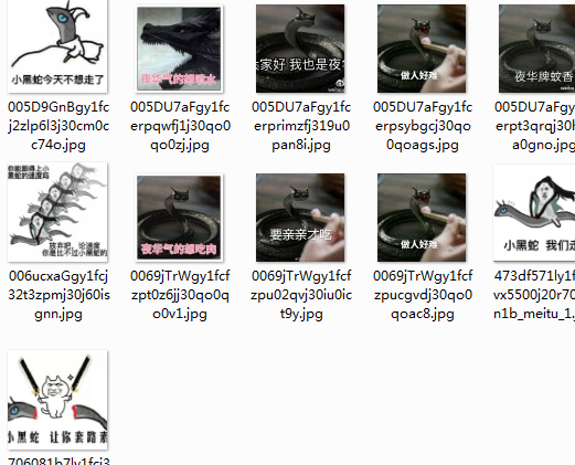 小黑蛇三生三世表情包