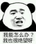 6893c8ea15ce36d3f80b461e33f33a87e950b1b3.jpg