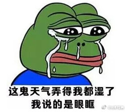 ����������ͼƬ �²ۻ������������2017����