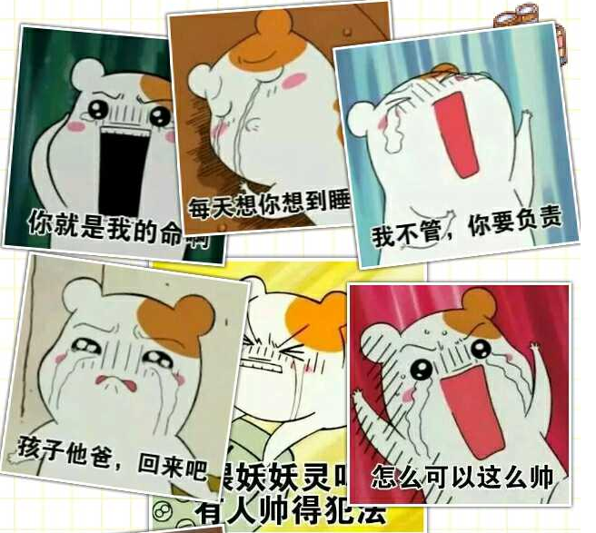 仓鼠管家表情包下载完整版
