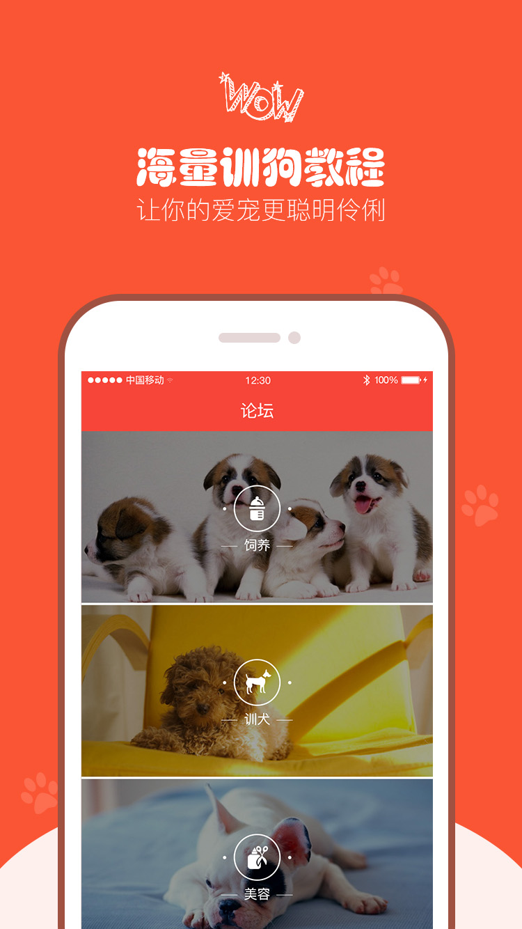 �칷��ios������v4.0 ��ʽ��
