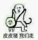 皮皮猪我们走表情包下载高清无水印