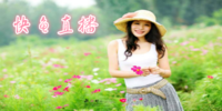 ����ֱ��