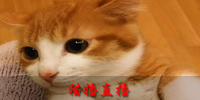 è��ֱ��