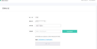 csgo实名认证申请工具