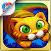 City Cat(����èapp����)v1.4 ��׿��