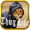 暴徒生活Thug-life安卓版下载v1.2 安卓版
