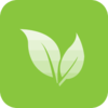 ��Ҷ��(�ļ����ںϲ�����)v3.1.0.1 �ٷ���