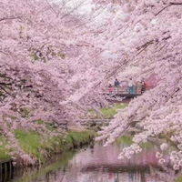 ���ӣ�����ǵ�����Ψ��ͼƬ2017 �·���������Ԫ������