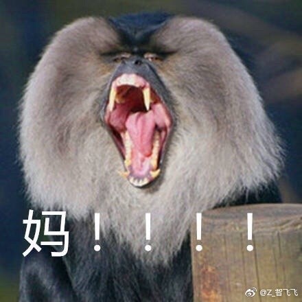 妈!!!表情包下载无水印带字