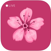 ��ɬֱ��app�ƽ��VIP����v2.1.0 �ƽ��