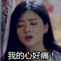 2017051311055936329.jpg