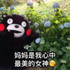 ĸ�׽ڱ����������������v1.0 ���°�