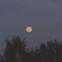 ��շ�������羰ͼƬ�ز� ���û�����³��ĺۼ�
