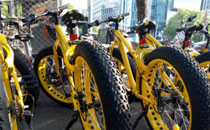ofo���⳵��ô���ò����� ofoʲôʱ����Ƴ����⳵