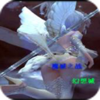 ħ��֮ս1.12��ʽ�ƽ�p����cdװ�����