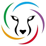����vip���ٰ�v1.6 ��׿��