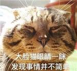�������鲢���򵥱����2017���� üͷһ�巢�����鲢����