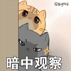 你是不是在外面有猫了表情包v1.0 最新版